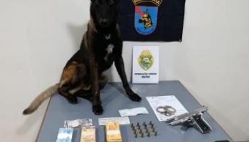 Foto: Governo do Paraná