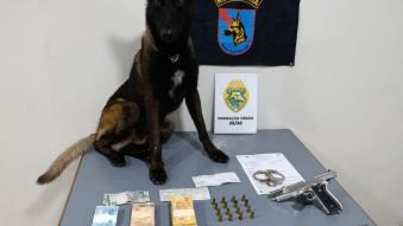 Foto: Governo do Paraná