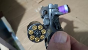 Foto: Governo do Paraná