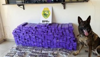 Foto: Governo do Paraná