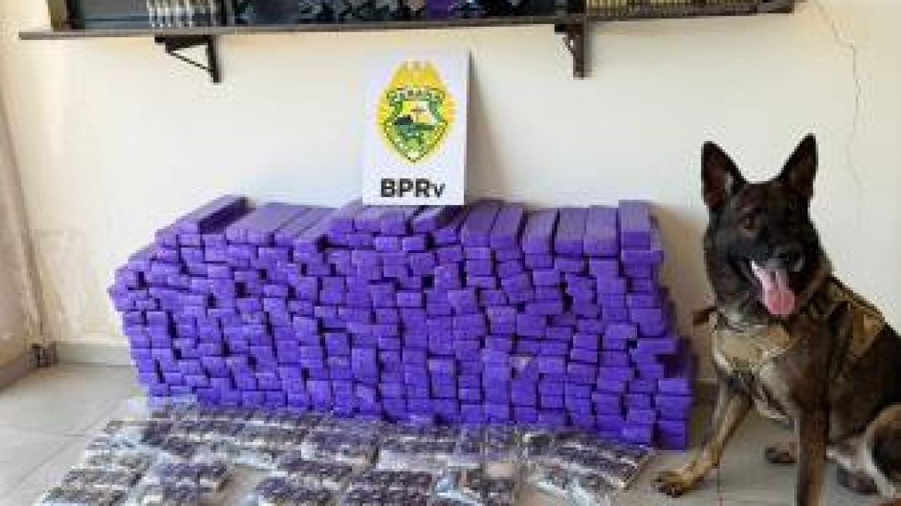 Foto: Governo do Paraná