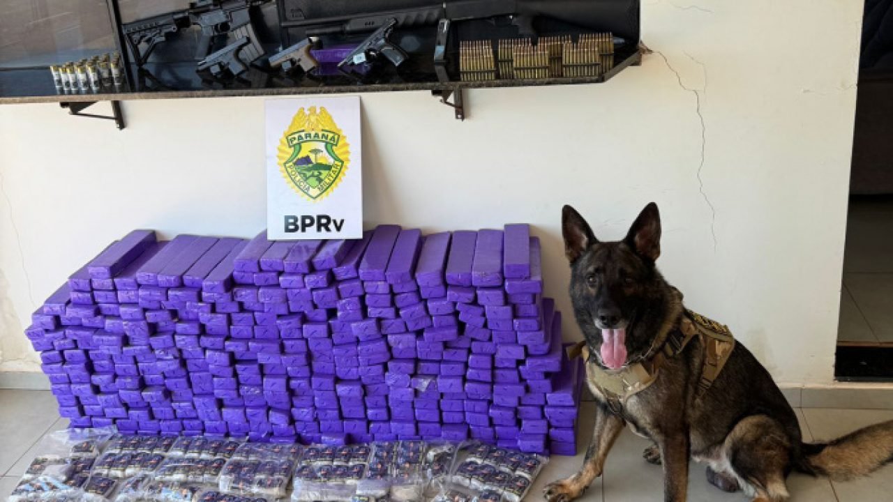 Apreensão de drogas e armas em Iporã — Foto: Governo do Paraná