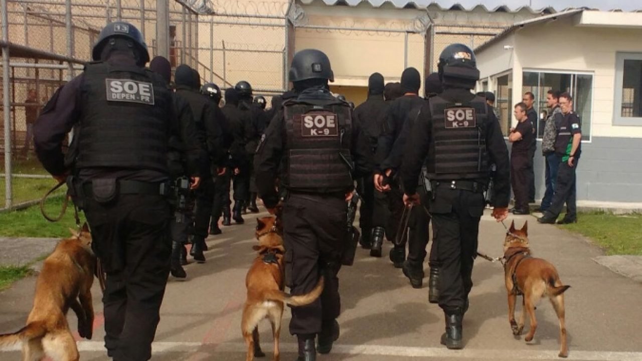 Setor de Operações Especiais da Polícia Penal do Paraná — Foto: Governo do Paran