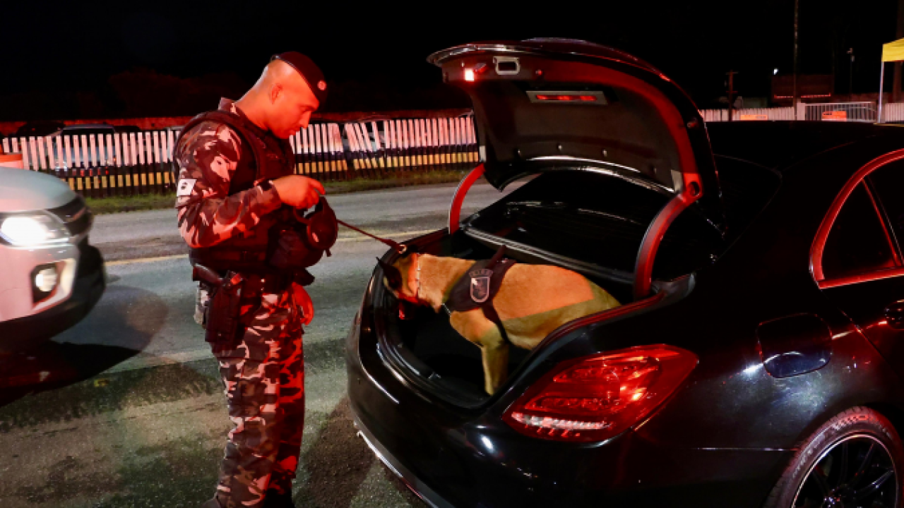 Foto: Governo do Paraná