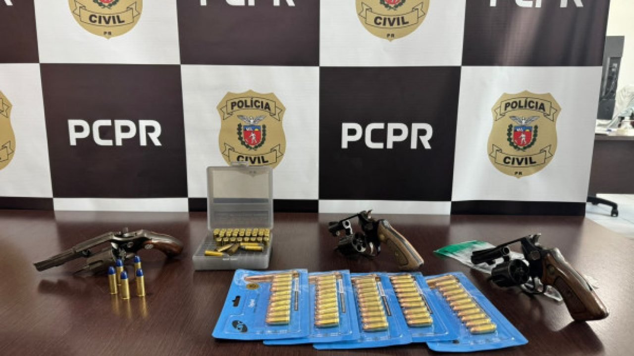 Polícia Civil apreendeu armas de fogo e munições durante operação — Foto: Govern