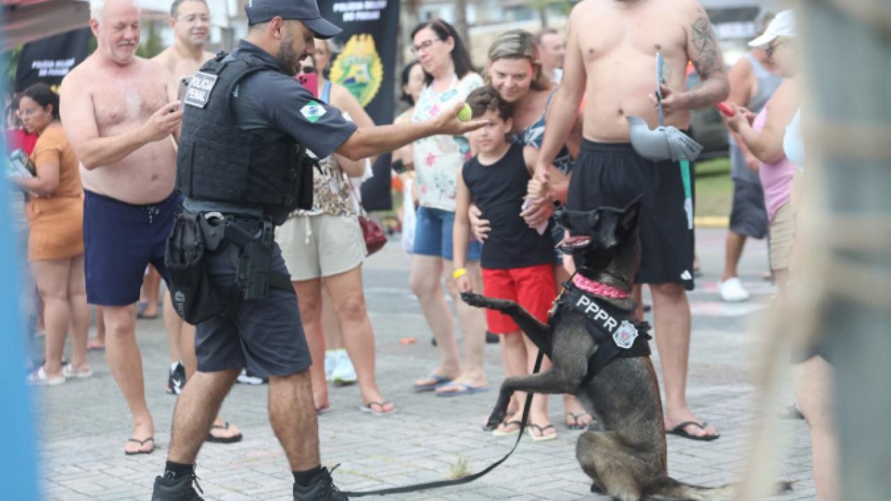 Cães da Polícia Penal em ação — Foto: Governo do Paraná
