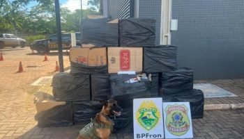 Foto: Governo do Paraná