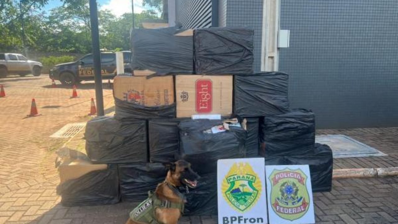 Foto: Governo do Paraná