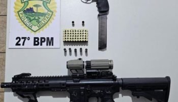 Apreensão de armas em Porto Vitória — Foto: Governo do Paraná