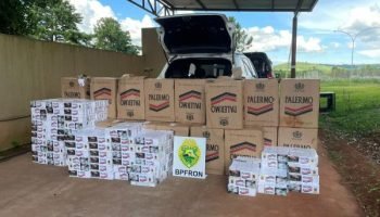 Foto: Governo do Paraná