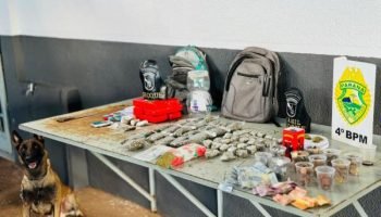 Apreensão de entorpecentes em Sarandi — Foto: Governo do Paraná