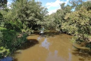 Foto: Governo do Paraná