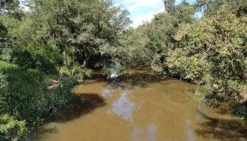 Foto: Governo do Paraná