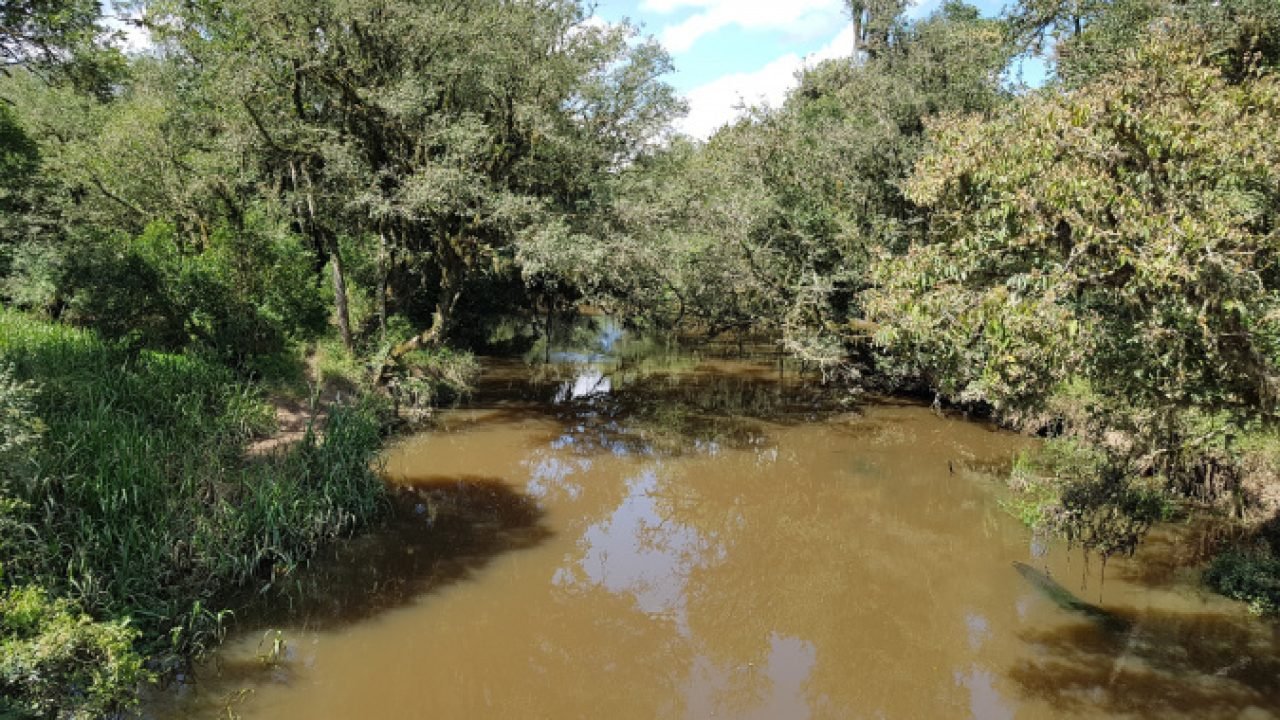 Foto: Governo do Paraná