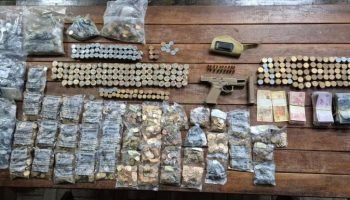 Foto: Governo do Paraná