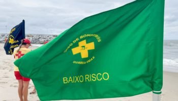 Bandeiras de sinalização nas praias do Paraná — Foto: Governo do Paraná