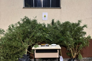 whatsapp_image_2026-03-04_at_07.46.55