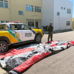 whatsapp_image_2026-03-16_at_11.04.19