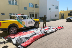 whatsapp_image_2026-03-16_at_11.04.19