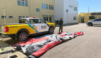 whatsapp_image_2026-03-16_at_11.04.19