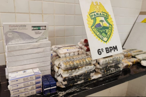 whatsapp_image_2026-04-06_at_14.02.58