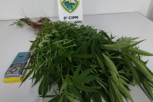 whatsapp_image_2026-04-21_at_06.22.45