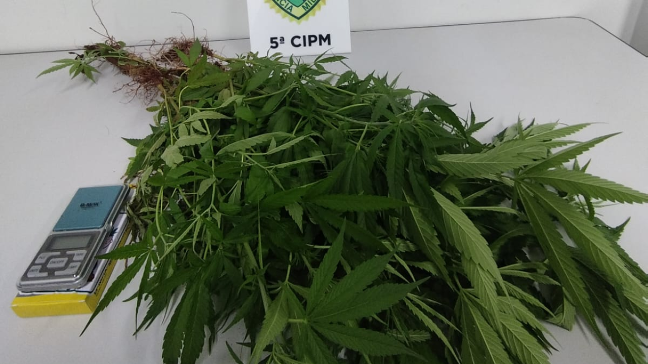 whatsapp_image_2026-04-21_at_06.22.45