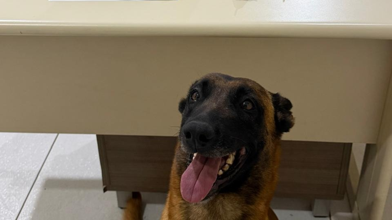 whatsapp_image_2026-04-22_at_08.42.47