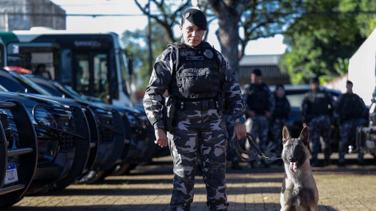 Foto: Governo do Paraná