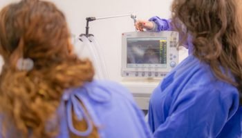 Foto: Governo do Paraná